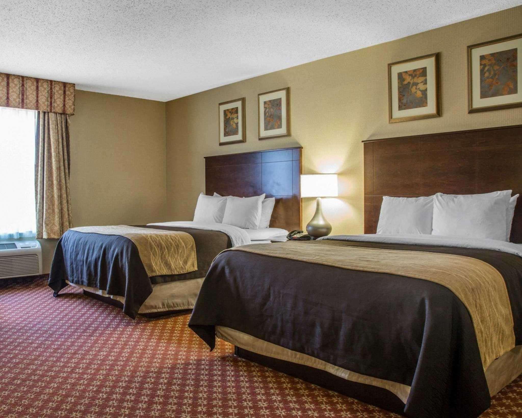Comfort Inn Naugatuck-Shelton, Ct מראה חיצוני תמונה
