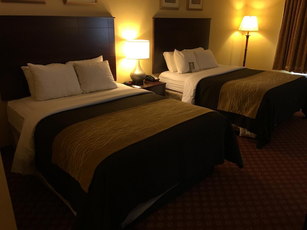 Comfort Inn Naugatuck-Shelton, Ct מראה חיצוני תמונה
