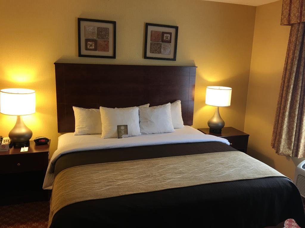 Comfort Inn Naugatuck-Shelton, Ct מראה חיצוני תמונה