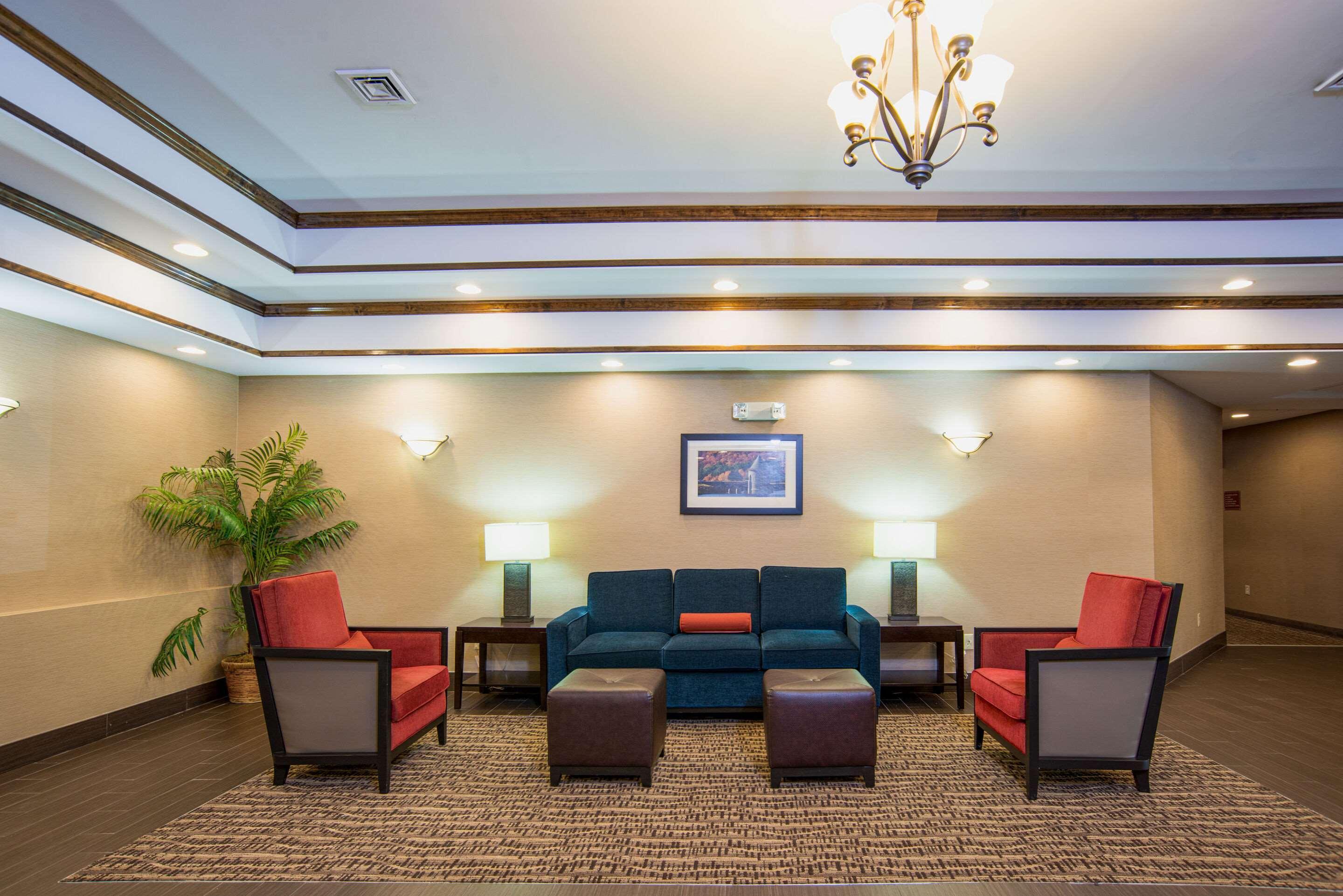 Comfort Inn Naugatuck-Shelton, Ct מראה חיצוני תמונה