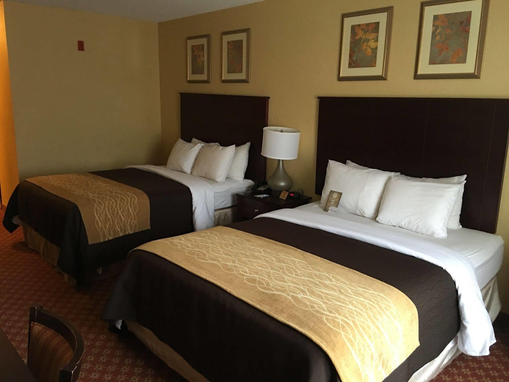 Comfort Inn Naugatuck-Shelton, Ct מראה חיצוני תמונה